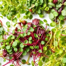 Microgreens and Diets