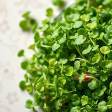 Microgreens and Diets