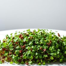 Microgreens and Diets